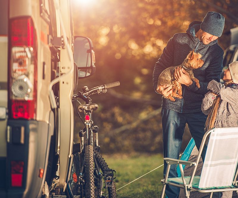 Campingi